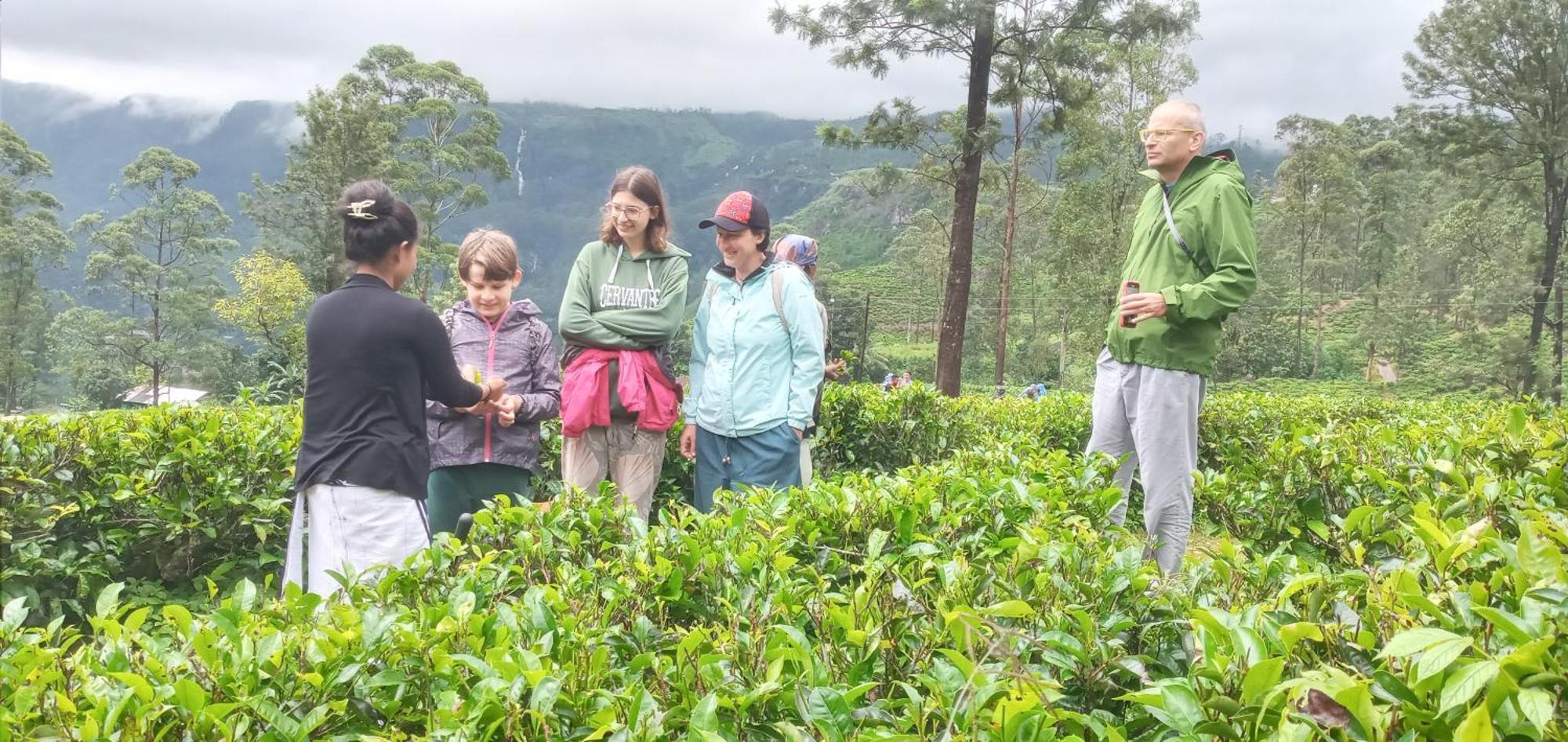 Serenity Heights Nuwara Eliya Esterno foto